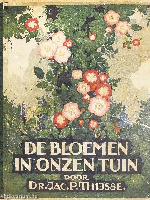 De bloemen in onzen tuin