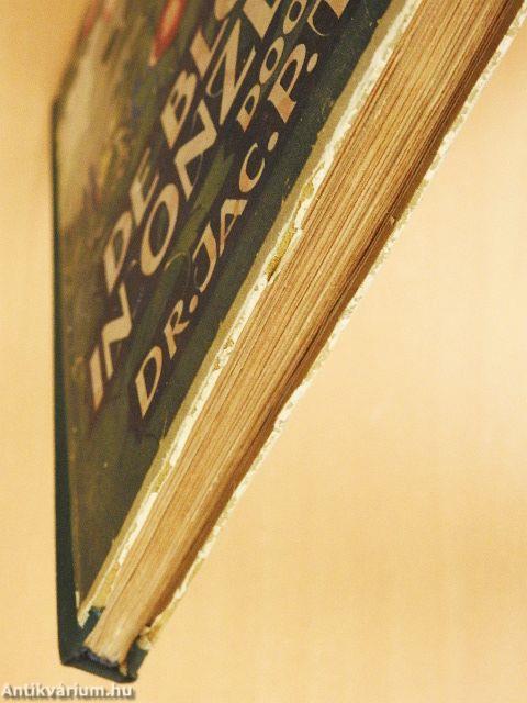 De bloemen in onzen tuin