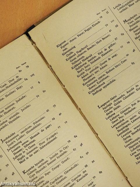 De bloemen in onzen tuin