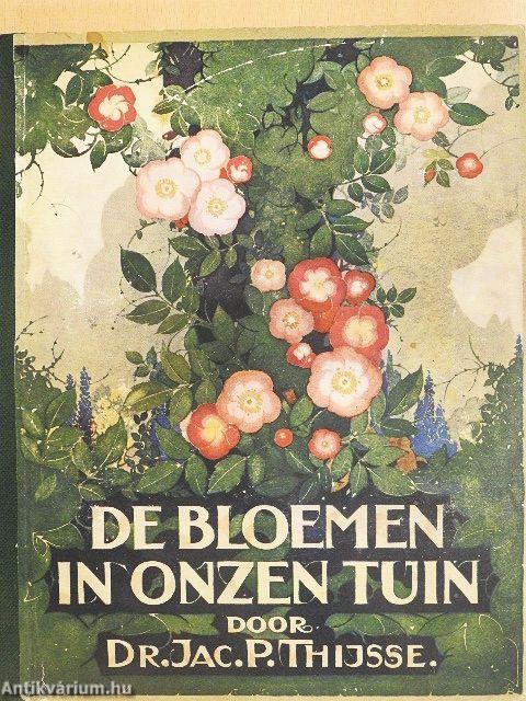 De bloemen in onzen tuin