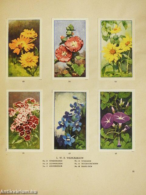 De bloemen in onzen tuin