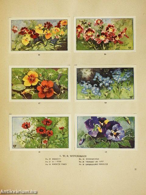 De bloemen in onzen tuin