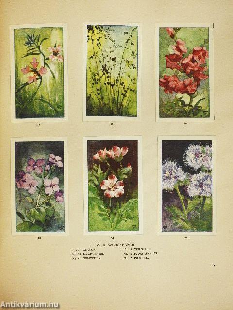 De bloemen in onzen tuin