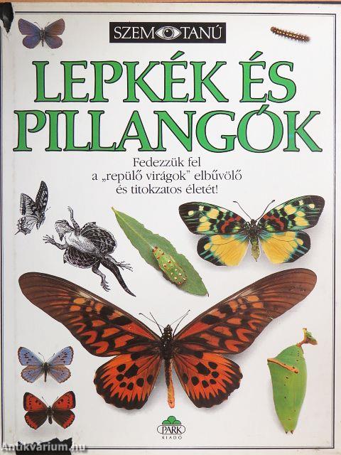 Lepkék és pillangók