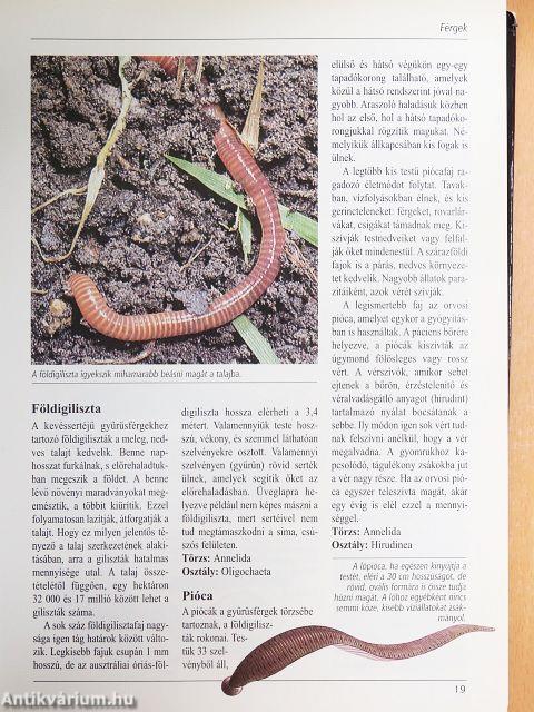 Az állatvilág nagy képes enciklopédiája