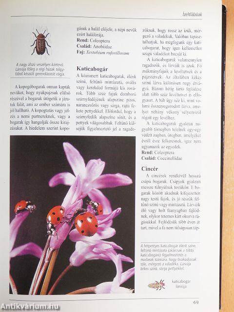 Az állatvilág nagy képes enciklopédiája