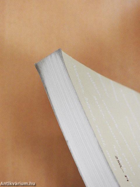 A magyar szókincs regénye