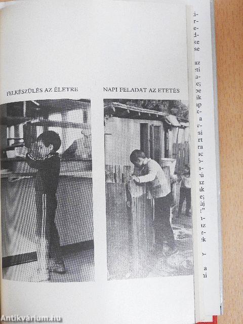 Gyerekek veszélyben