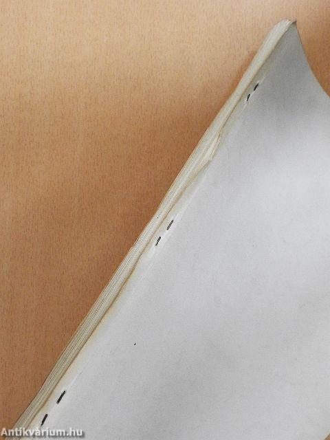 Az ember társadalmi léte