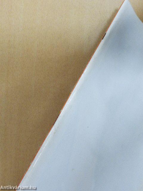 Negyedik technikakönyvem