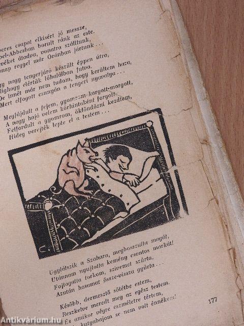 Borzas Peti kalandjai (rossz állapotú)