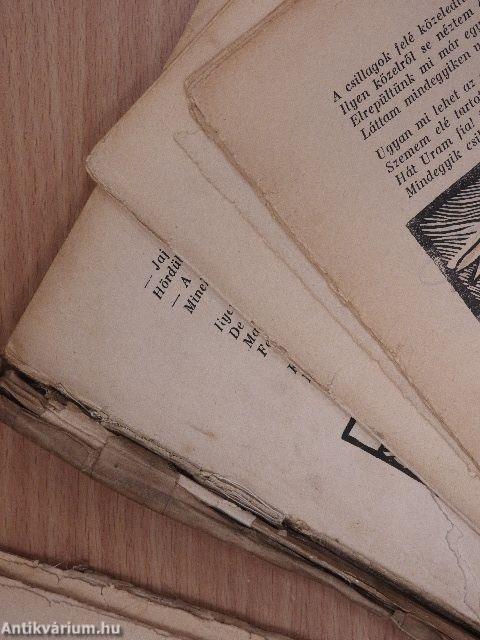 Borzas Peti kalandjai (rossz állapotú)