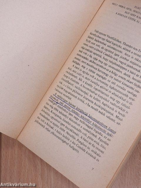 Candide vagy az optimizmus