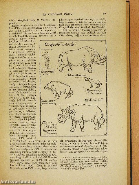 A világtörténet alapvonalai