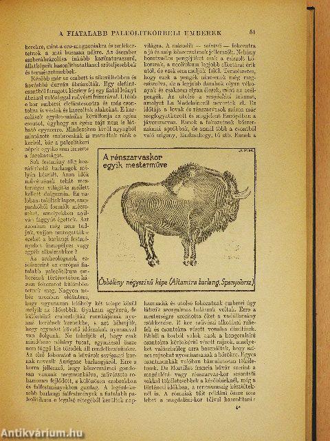 A világtörténet alapvonalai