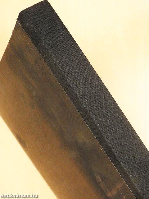 La pittura ungherese