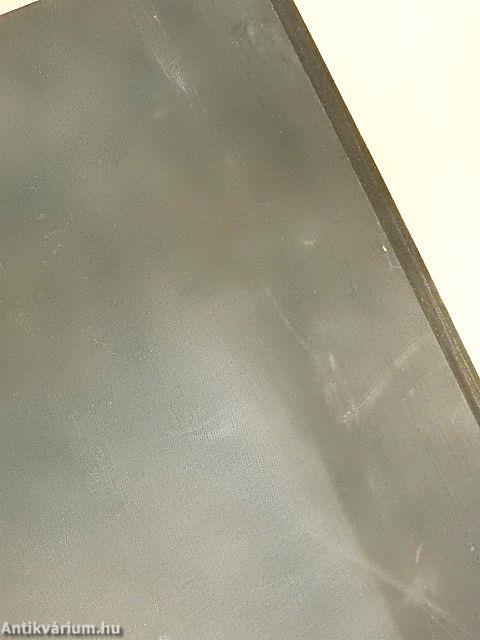 La pittura ungherese