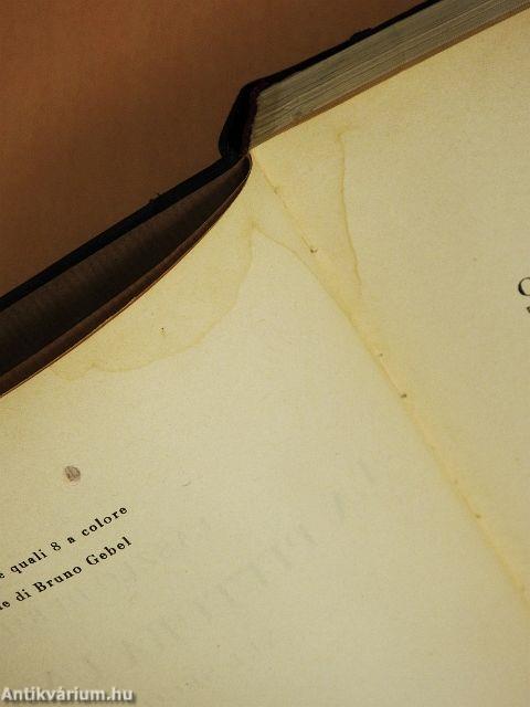 La pittura ungherese