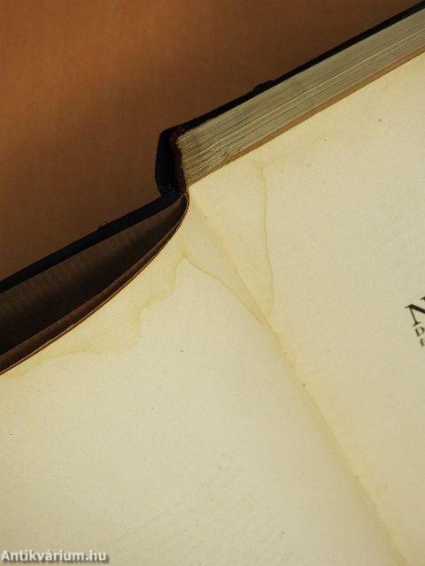 La pittura ungherese