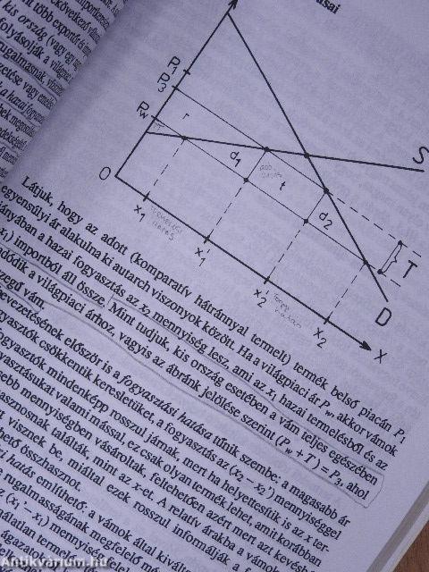 Nemzetközi közgazdaságtan