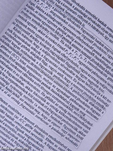 Nemzetközi közgazdaságtan