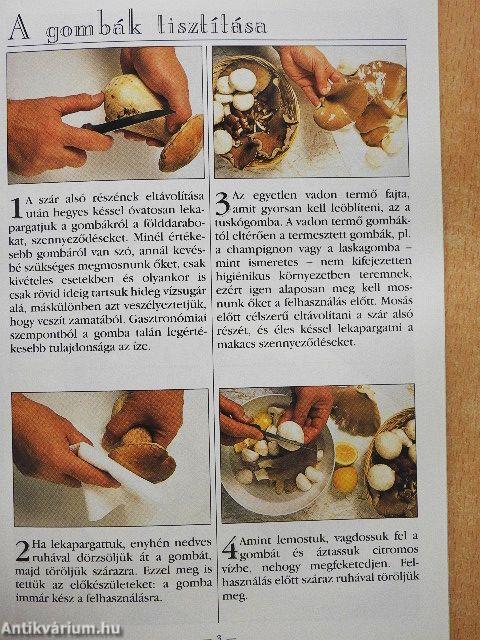 Gombaételek szabadon termő és termesztett gombákból