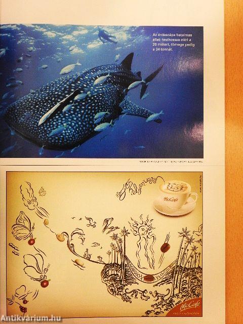 National Geographic Magyarország 2007. november