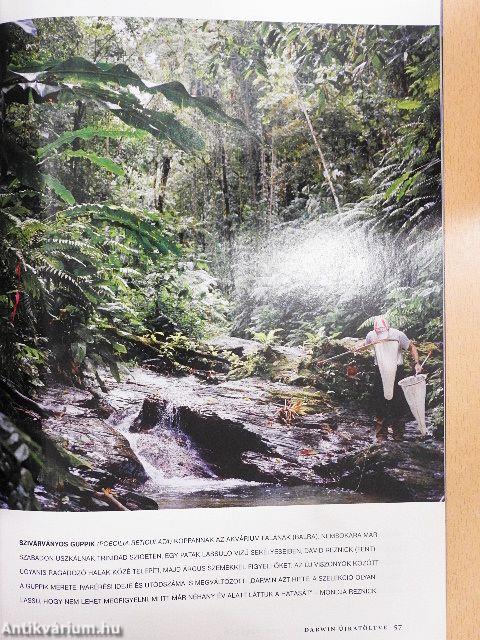 National Geographic Magyarország 2009. február