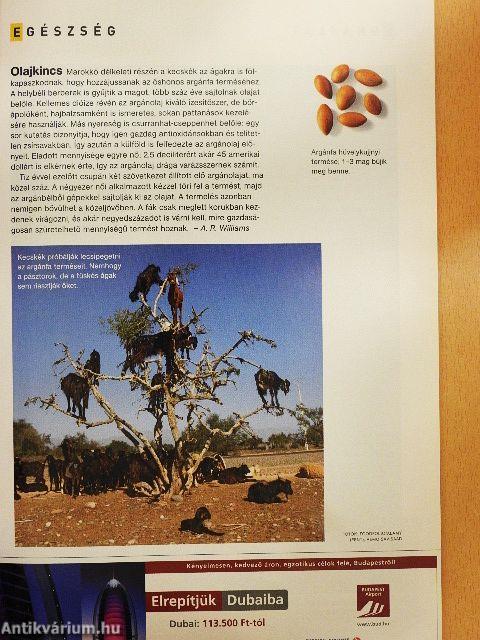 National Geographic Magyarország 2009. február