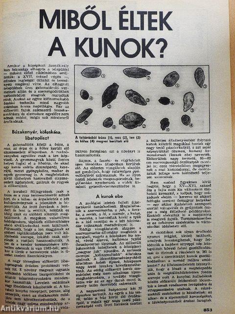 Élet és Tudomány 1985. (fél évfolyam)