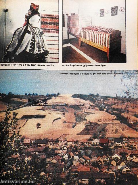 Élet és Tudomány 1986. (nem teljes évfolyam)