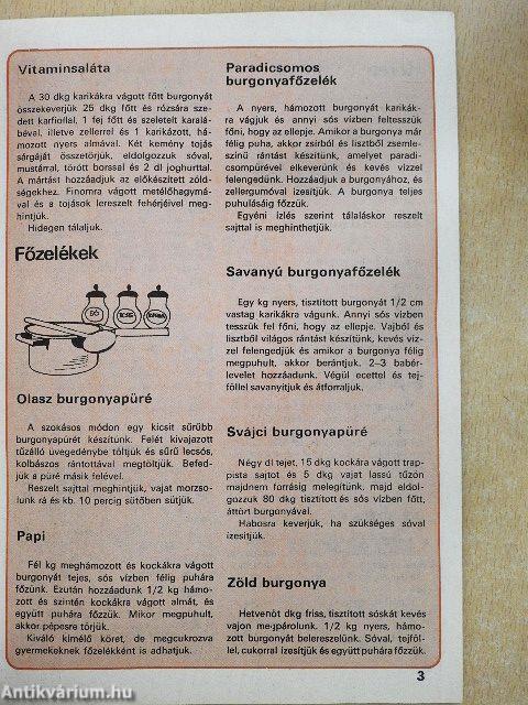 Fakanál - 101 burgonyás étel receptje