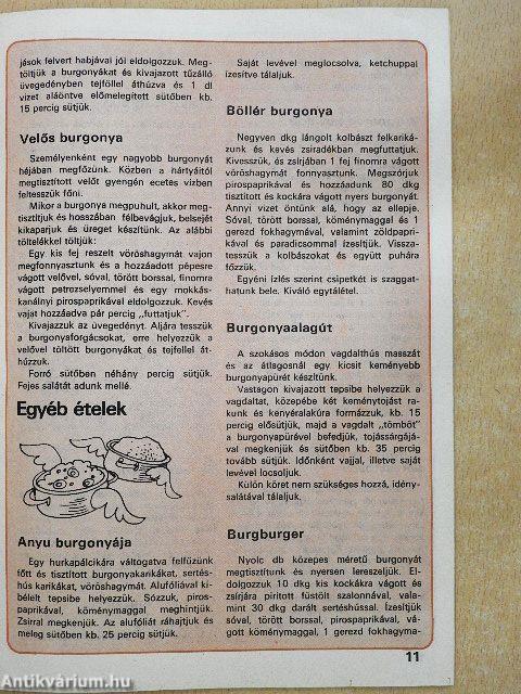 Fakanál - 101 burgonyás étel receptje