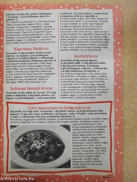 Fakanál - 101 recept karácsonyra, szilveszterre