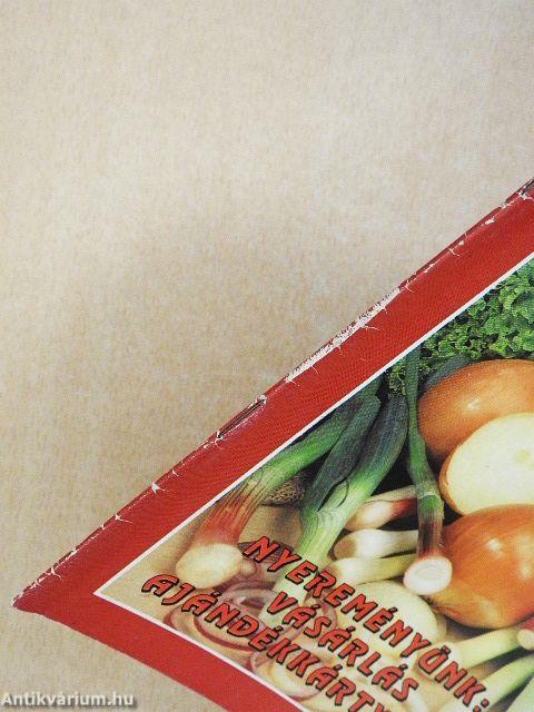 Fakanál - 101 hagymás ételrecept