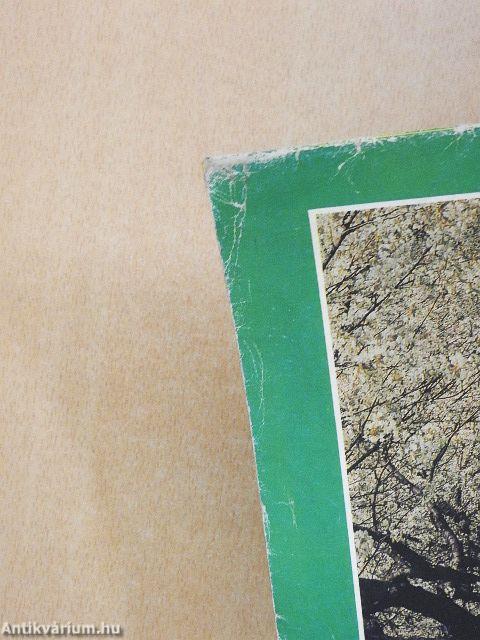 Fakanál - 101 nyári étel receptje