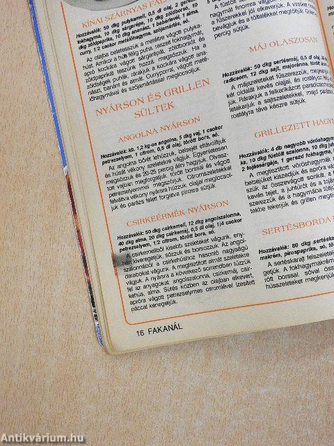 Fakanál - 101 nyári étel receptje