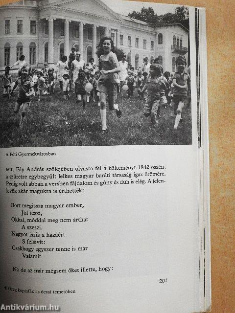 Aranyhomok