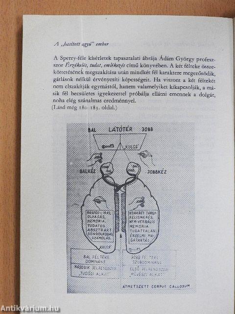 A szellem kalandjai