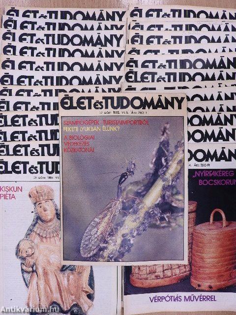 Élet és Tudomány 1985. (fél évfolyam)