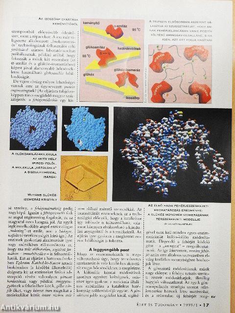 Élet és Tudomány 1999. (nem teljes évfolyam)