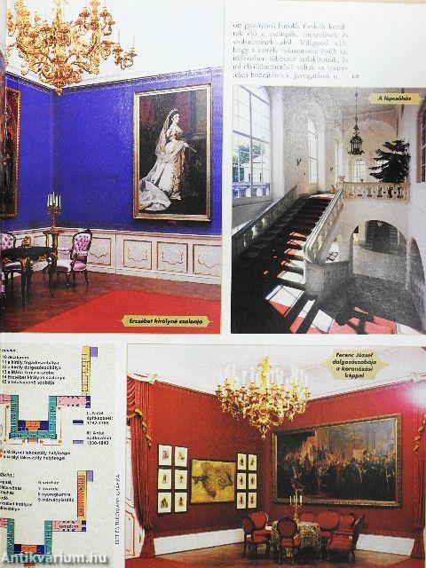 Élet és Tudomány 2003. (nem teljes évfolyam)