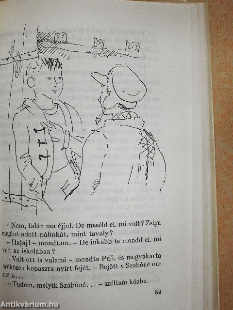 Kányadombi indiánok