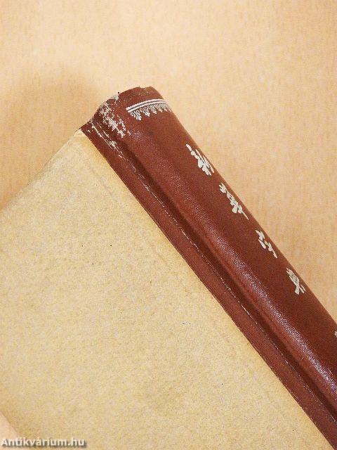 Xinhua Zidian (kínai nyelvű)