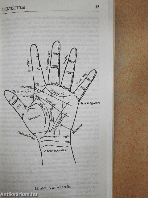A tenyér titkai/Chiromantia