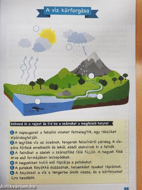 Foglalkoztatófüzet iskolásoknak 2.