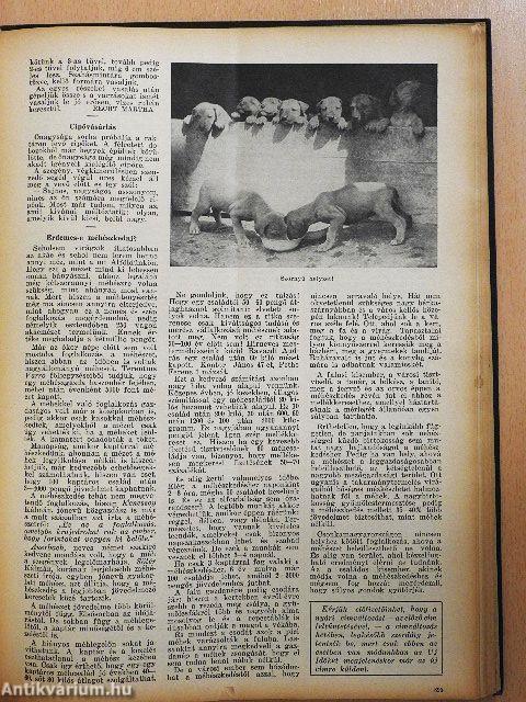 Uj Idők 1937. január-június (fél évfolyam)