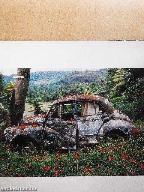 Az év természetfotói Magyarország 2004