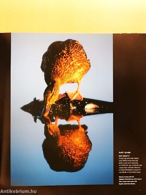 Az év természetfotói Magyarország 2004