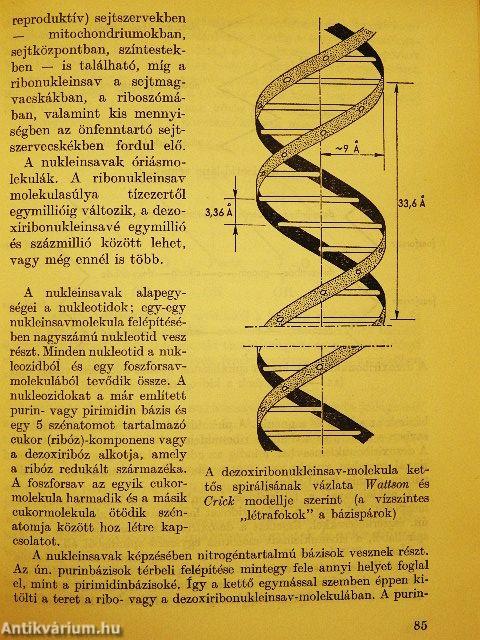 Élet és táplálkozás